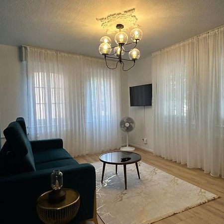 Petite France Apartment שטרסבורג מראה חיצוני תמונה