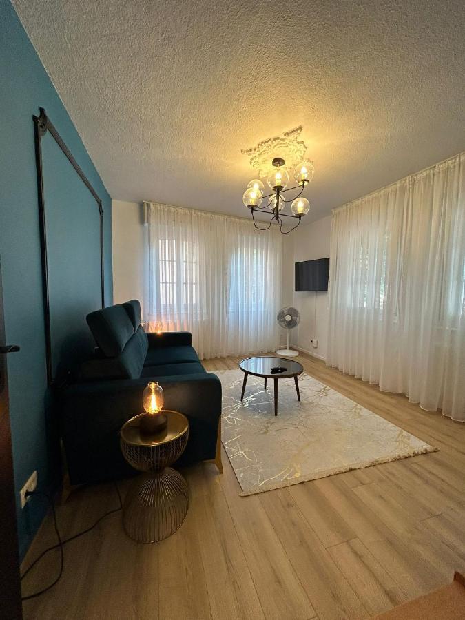Petite France Apartment שטרסבורג מראה חיצוני תמונה