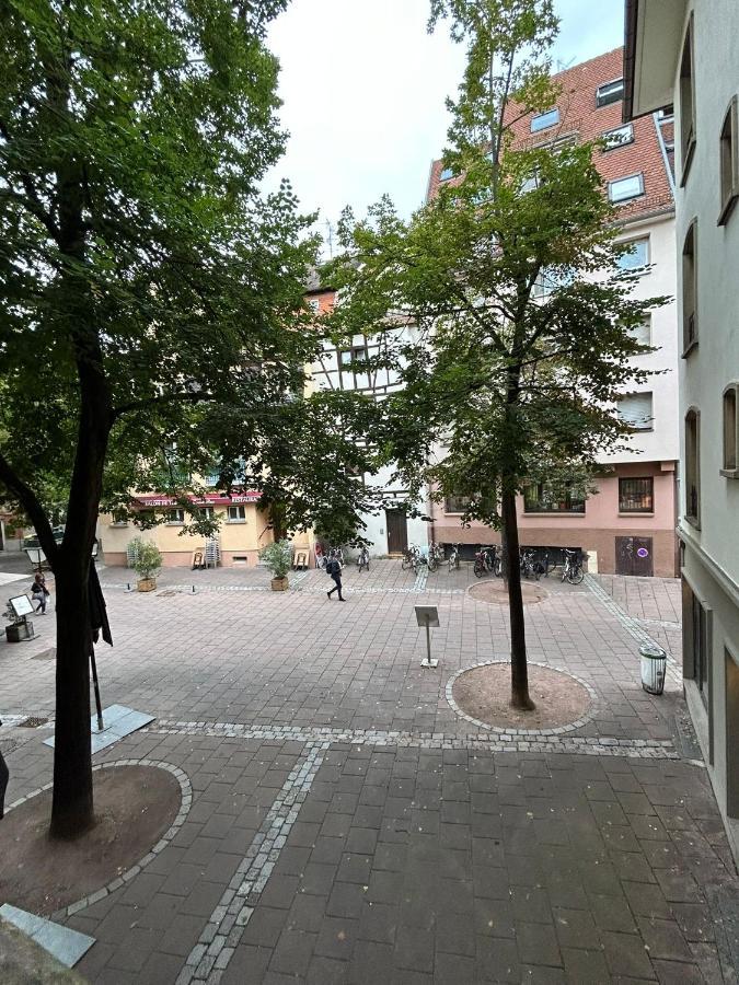 Petite France Apartment שטרסבורג מראה חיצוני תמונה