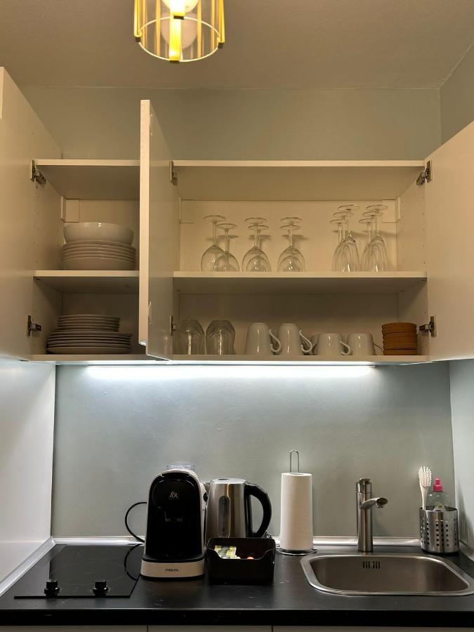Petite France Apartment שטרסבורג מראה חיצוני תמונה